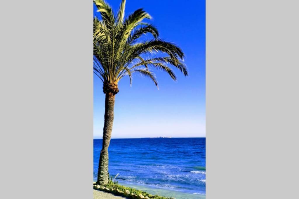 Apartamento Centrico Santa Pola Dış mekan fotoğraf